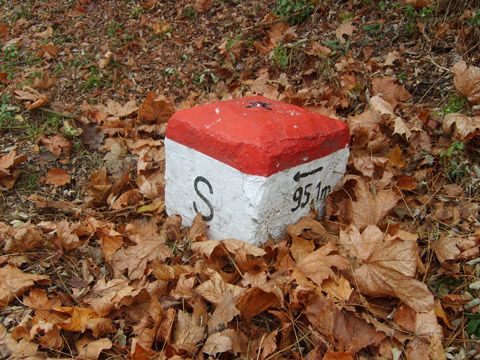 Foto 98